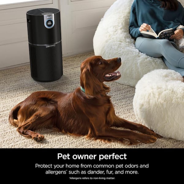 Air Purifier MAX with True NanoSeal HEPA, Cleansense IQ, Odor Lock (1200 Sq. Ft.) Charcoal Grey, HP202