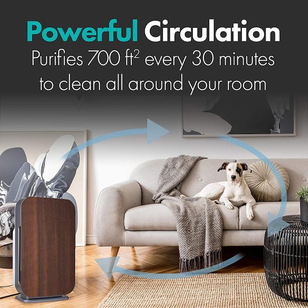 BreatheSmart FLEX Air Purifier with Pure, True HEPA Filter for Allergens, Dust, Mold, and Germs - 700 SqFt