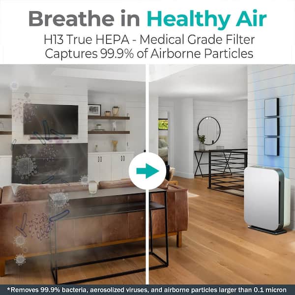 BreatheSmart FLEX Air Purifier with Pure, True HEPA Filter for Allergens, Dust, Mold, and Germs - 700 SqFt