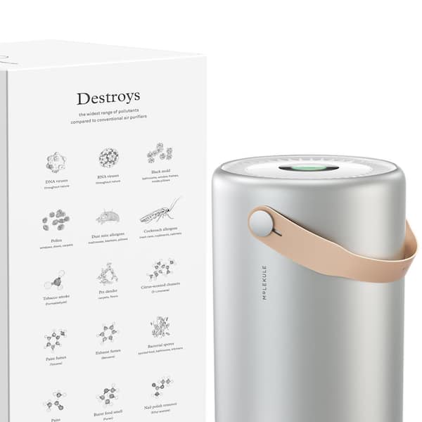 Air Pro 1000 sq. ft. Air Purifier with PECO Filter