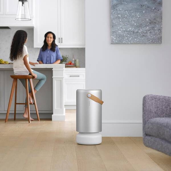 Air Pro 1000 sq. ft. Air Purifier with PECO Filter