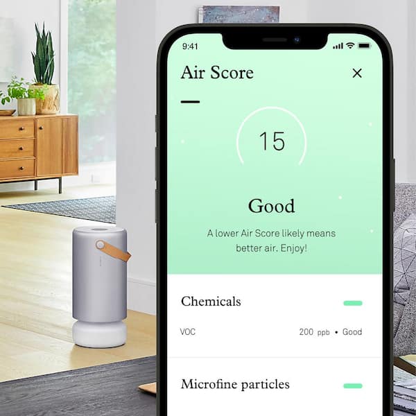 Air Pro 1000 sq. ft. Air Purifier with PECO Filter
