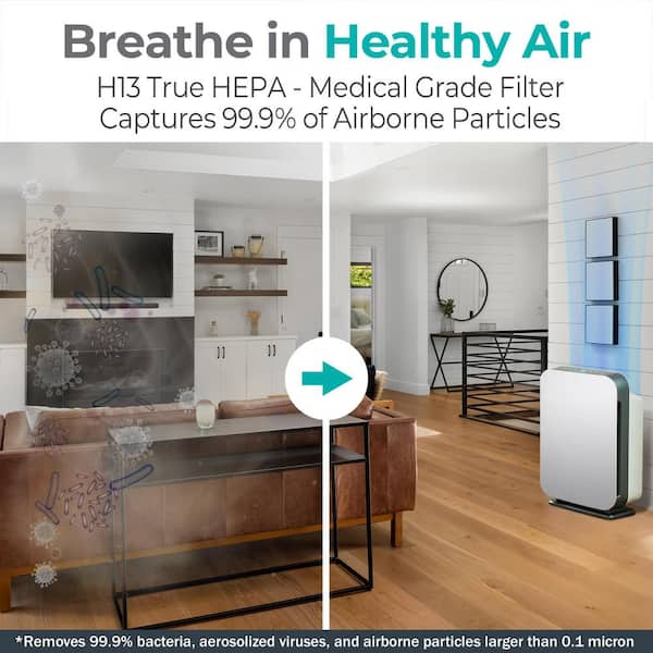 BreatheSmart 75i Air Purifier with Pure, True HEPA Filter for Allergens, Dust, Mold, and Germs - 1,300 SqFt