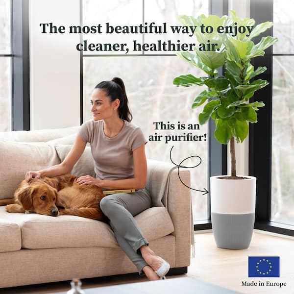 Bloom HEPA-13 Air Purifier with Planter, AutoDetect to Remove Dust, Smoke, Bacteria, Allergens and Odors - 1517 sq. ft.