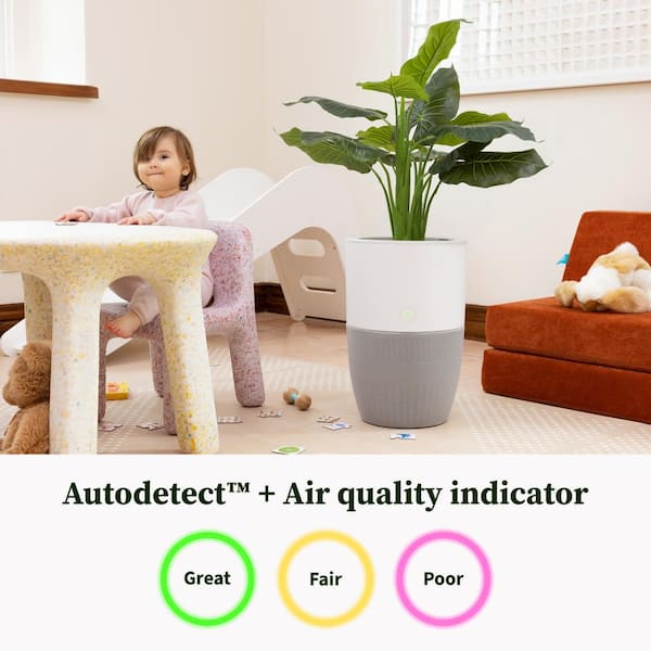 Bloom HEPA-13 Air Purifier with Planter, AutoDetect to Remove Dust, Smoke, Bacteria, Allergens and Odors - 1517 sq. ft.