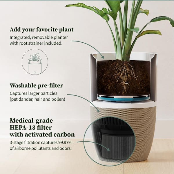 Bloom HEPA-13 Air Purifier with Planter, AutoDetect to Remove Dust, Smoke, Bacteria, Allergens and Odors - 1517 sq. ft.