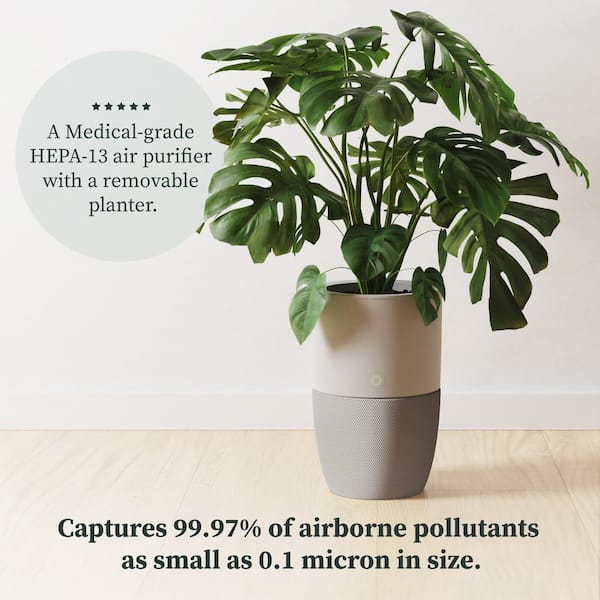 Bloom HEPA-13 Air Purifier with Planter, AutoDetect to Remove Dust, Smoke, Bacteria, Allergens and Odors - 1517 sq. ft.