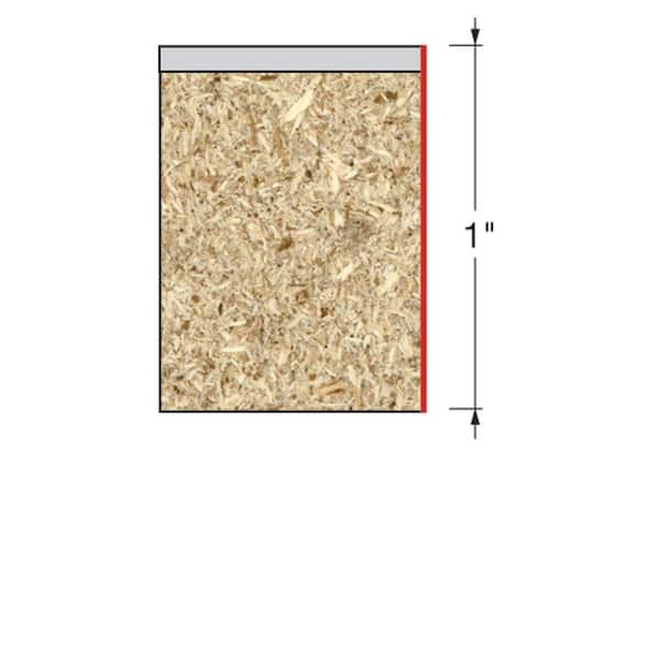 1/2 in. x 1 in. Carbide Flush Trimming Router Bit
